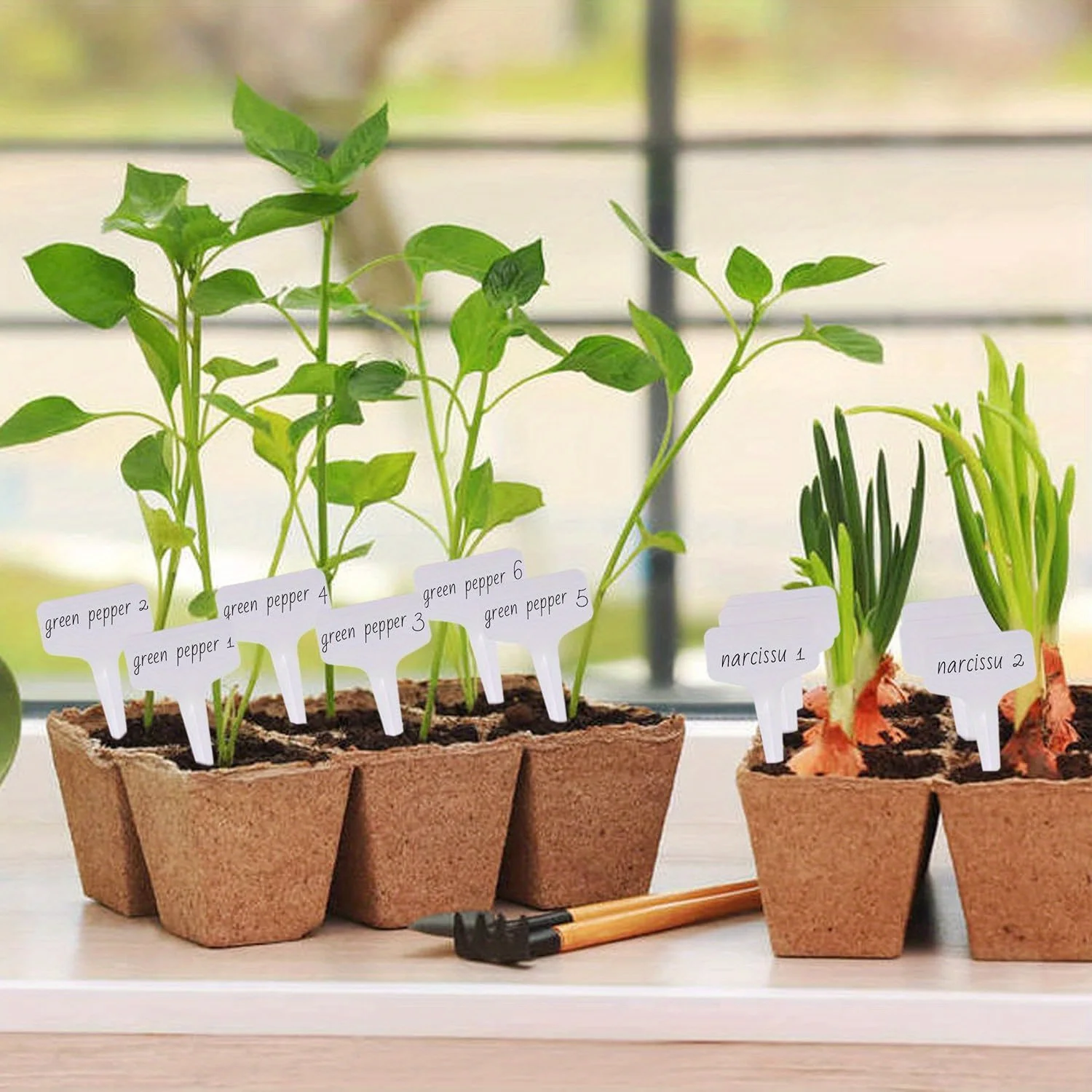 100pcs Plant Tag Horticultural Labels Markers Nursery Garden Labels Seedling Tray Pots Decoration Garden T-Type Planting Signs