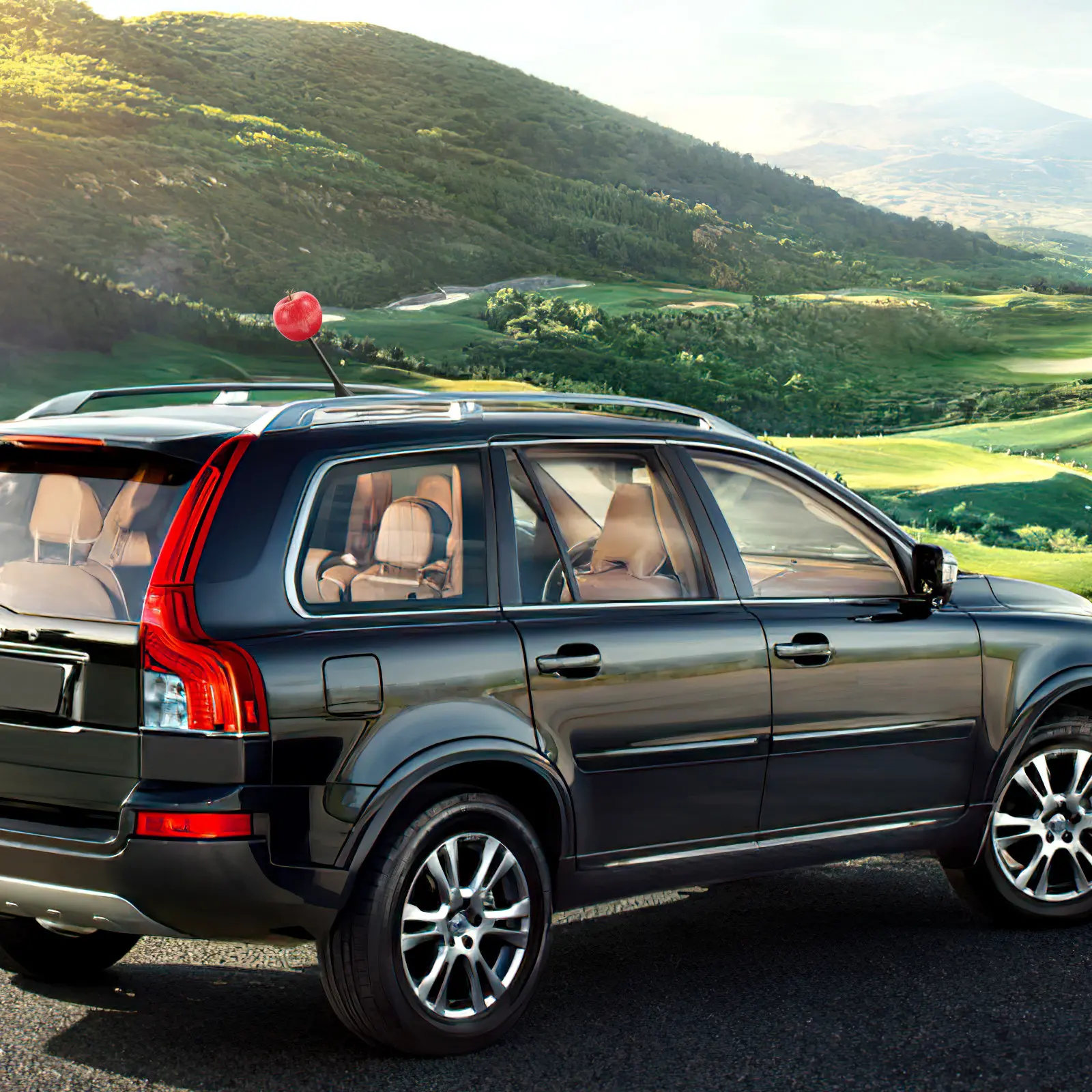 

Car Antenna Toppers Ball Cute Fruit Shaped Car Roof Decorations Exterior Auto Antenna Balls for Vehicle Personalization