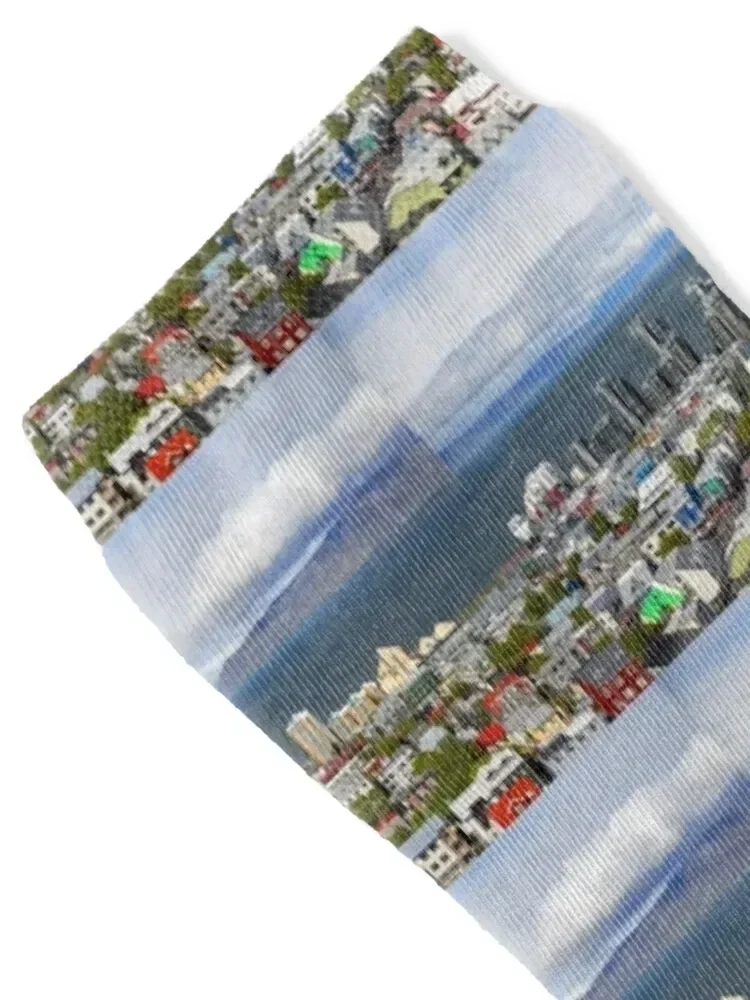 Iceland. Reykjavik. View from the Bell Tower of Hallgrímskirkja. Socks sport winter gifts Girl'S Socks Men's