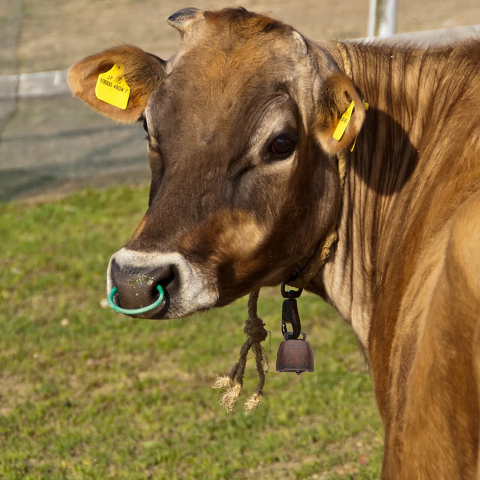 

16 шт. Металлические колокольчики для животных: для коров, лошадей, овец, крупного рогатого скота. Громкие колокольчики из рустикального железа для улицы, предотвращающие потерю животных. Подвесные аксессуары для фермерских хозяйств и рукоделия.
