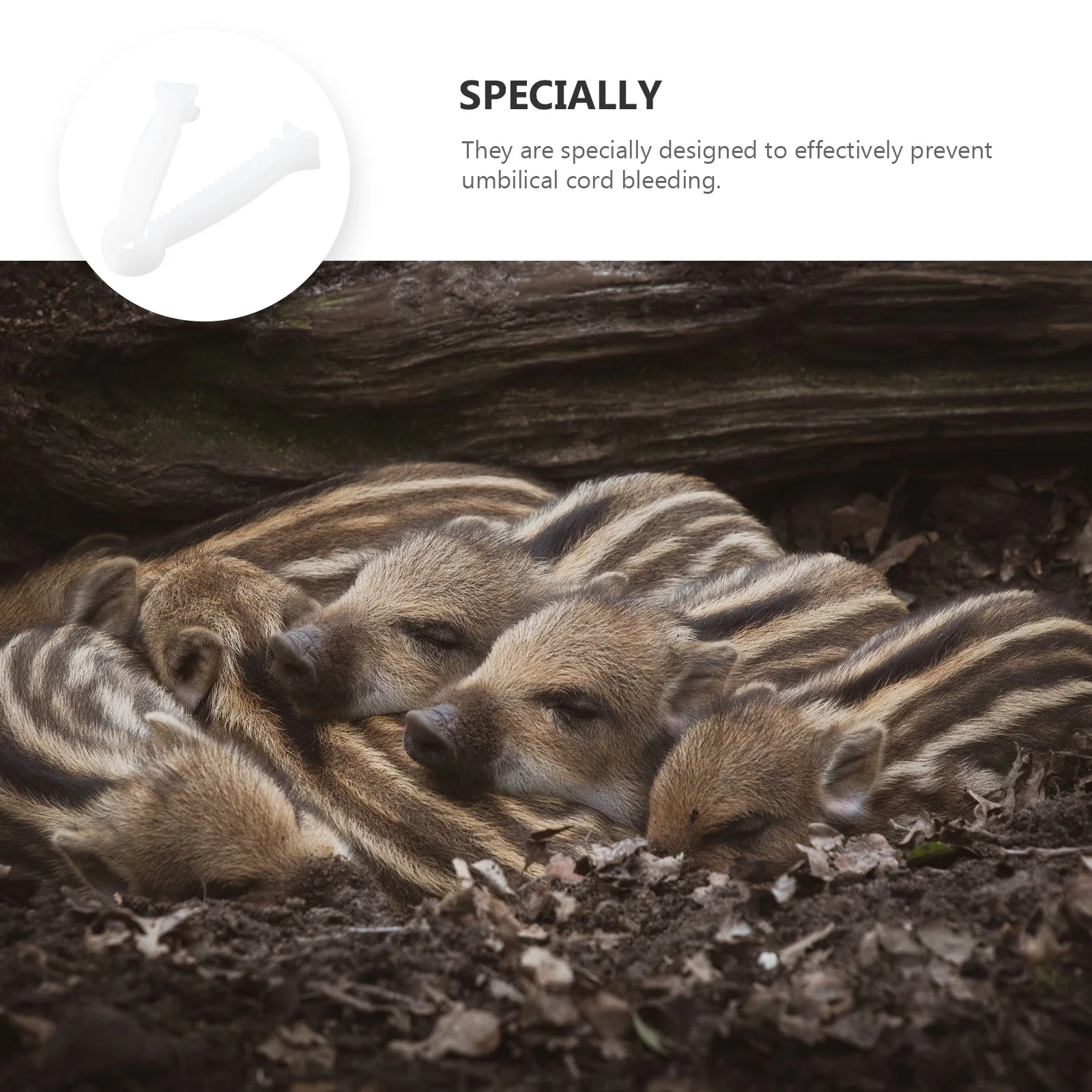 

100Pcs Umbilical Cord Clips Disposable PP Material for Farm Livestock Bleeding Prevention Non-Slip Serrated Design Pig Puppy