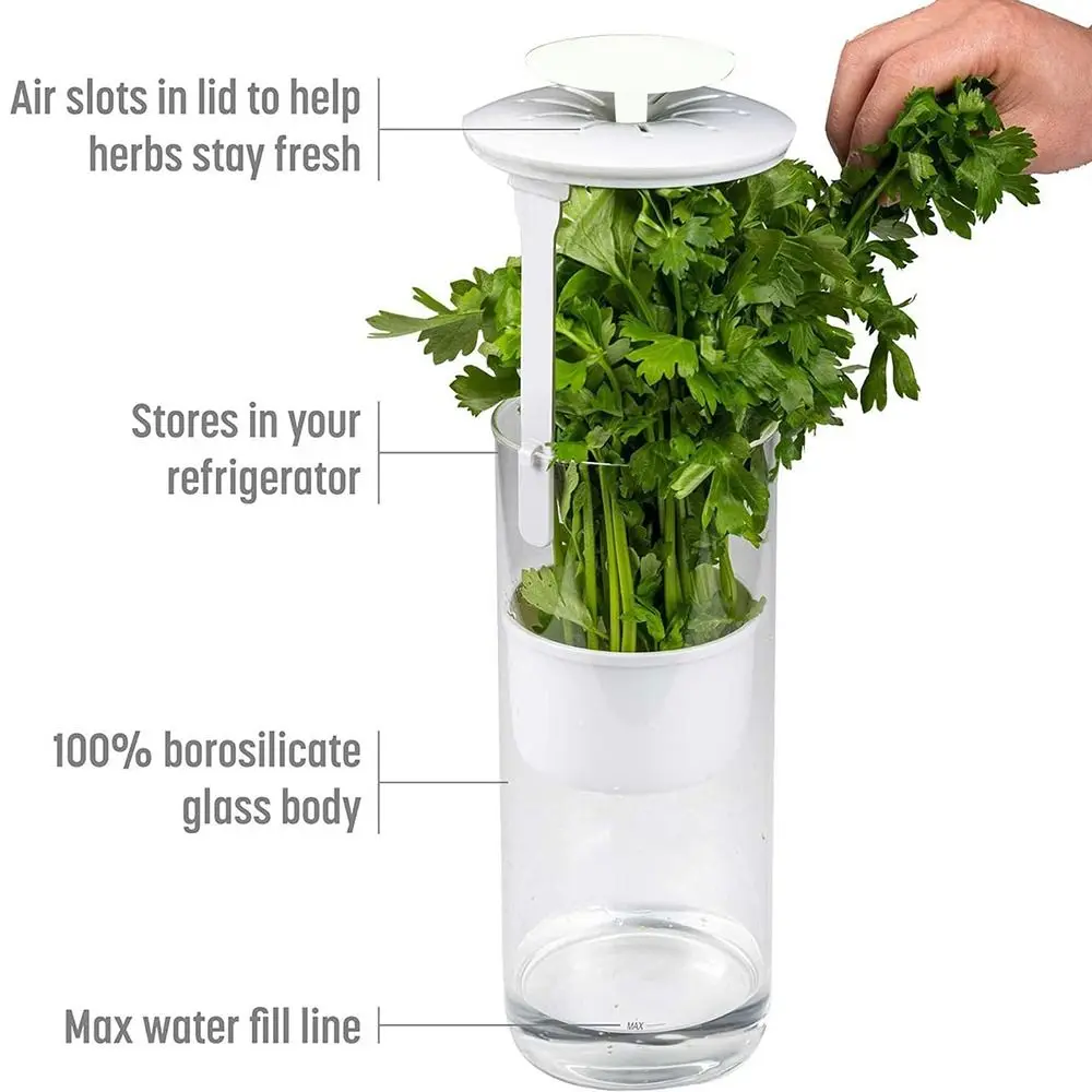 

Accessories BPA Free Herb Keeper Universal Durable Herb Saver Kitchen Supplies Vanilla Cup