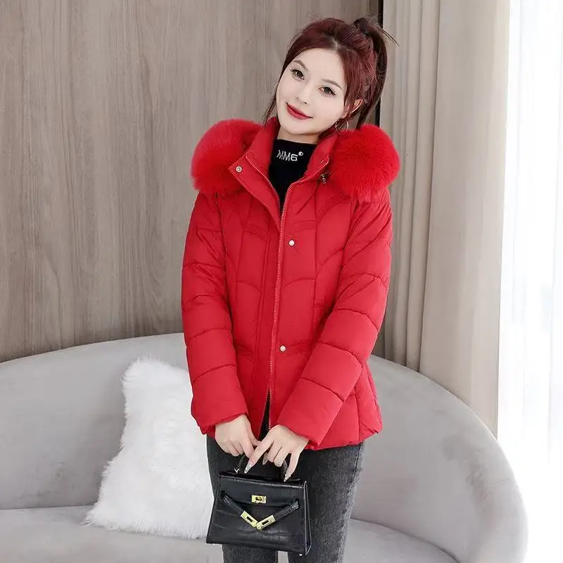 2025 Nuova giacca invernale da donna Parka Moda caldo piumino imbottito in cotone Cappotto corto da donna con cappuccio Overwear Puffer Top
