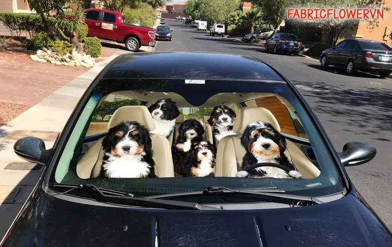 Bernedoodle Car Sunshade, Bernedoodle Car Decoration, Bernedoodle Windshield, Dog Lovers, Dog Car Sunshade, Gift For Mom, Gift F