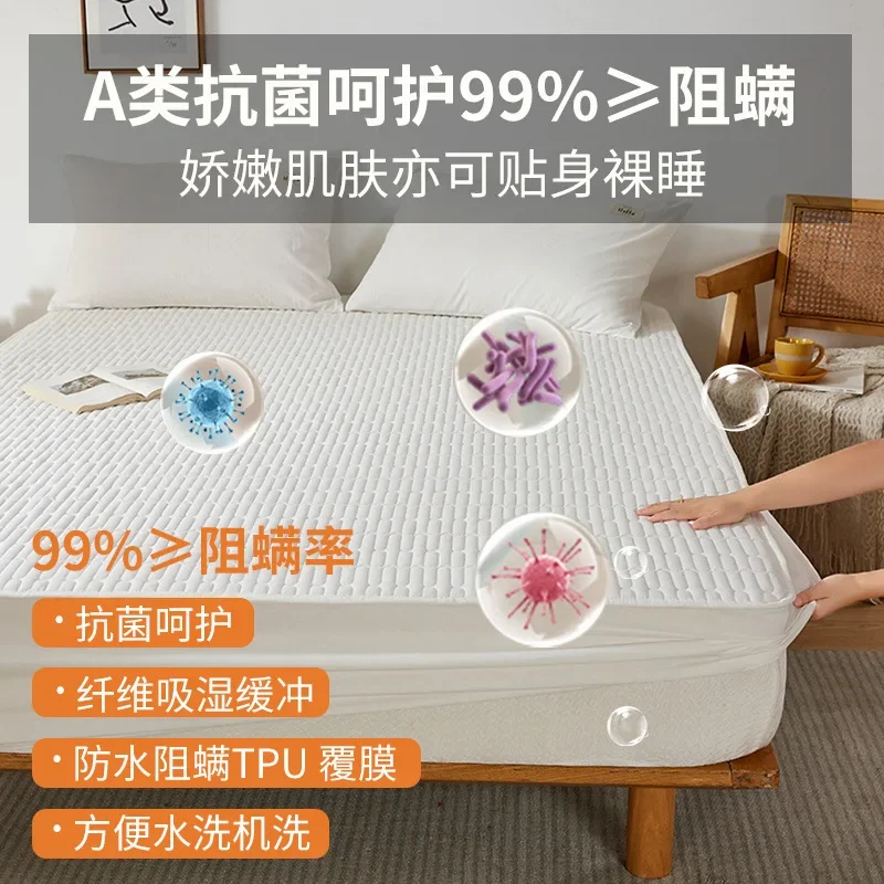 Class A soybean waterproof urine-proof mattress single piece padded thickened mattress mattress cover dust-proof sheet three