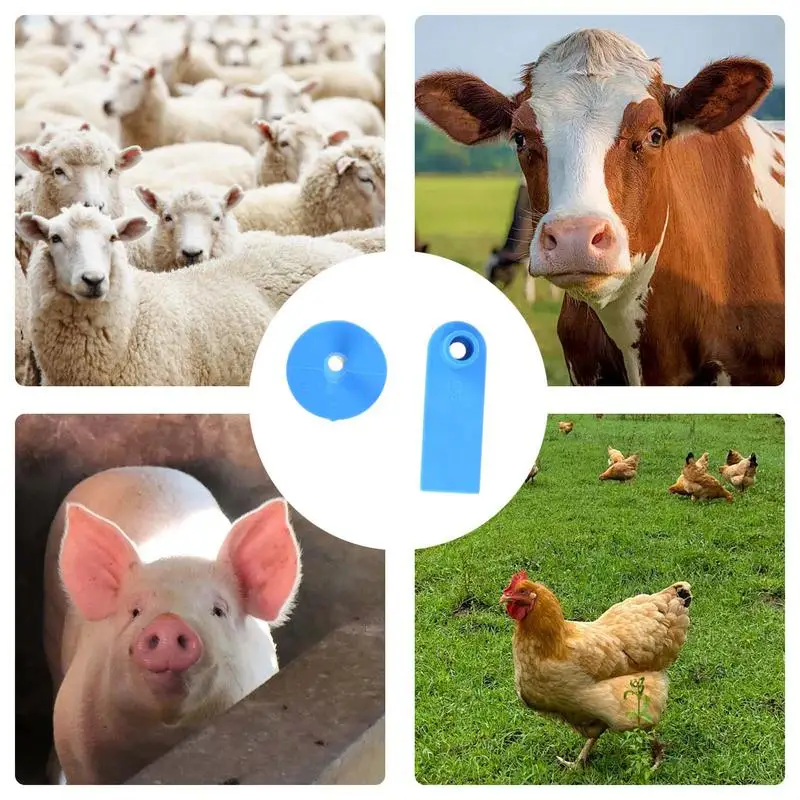Animal Ear Tags 100PCS Ear Tags With Numbers Livestock Tagging Tool Wear-Resistant Cattle Ear Tags Cow Ear Tag For Breeding