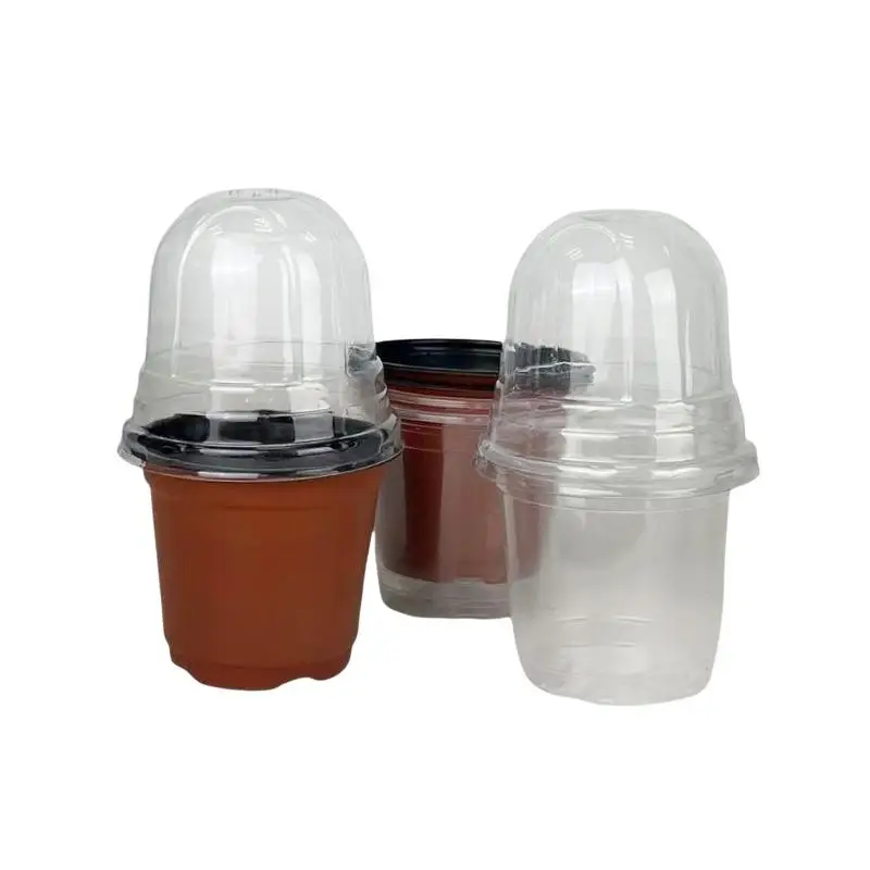 10Set Plant Plastic Seed Stater Clear Cup With Cover Flower Propagation Container Greenhouse Nutrition Cup Flowers Pots