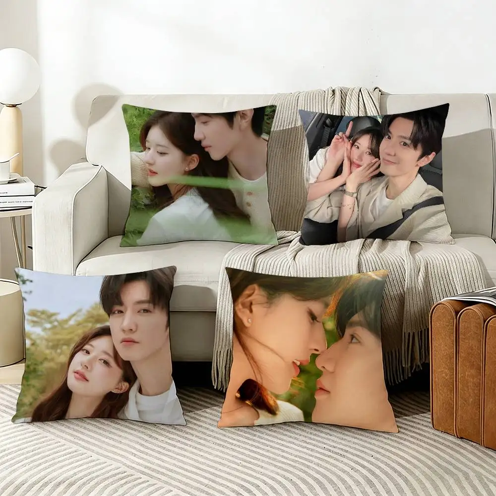 

Hidden Love Duan Jiaxu Sang Zhi Pillow Cover Sofa Cushion Cover Home Room Decoration Children Gift