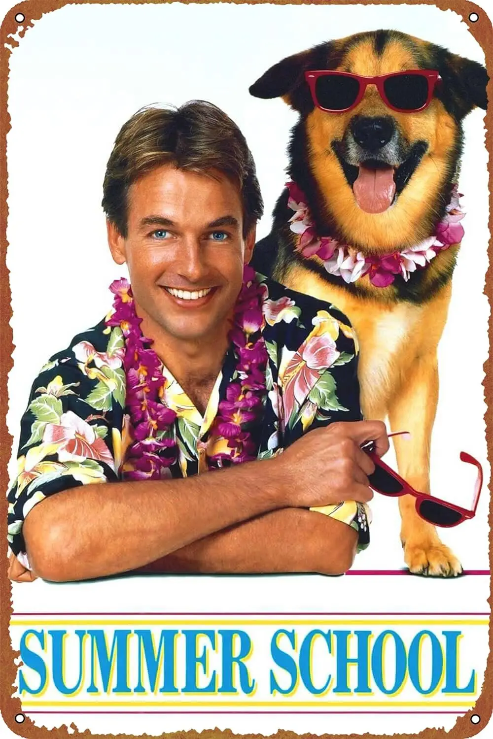 الصيف مدرسة الفيلم المشارك لوحة معدنية تين تسجيل ، خمر حانة معدنية نادي مقهى بار المنزل جدار الفن الديكور المشارك الرجعية 8x12 بوصة #1