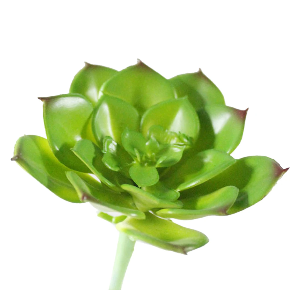 

Artificial Succulent Plants Decorative Faux Green 8x8x6cm Simulation for Desktop Room Bedroom Office Creative Gift