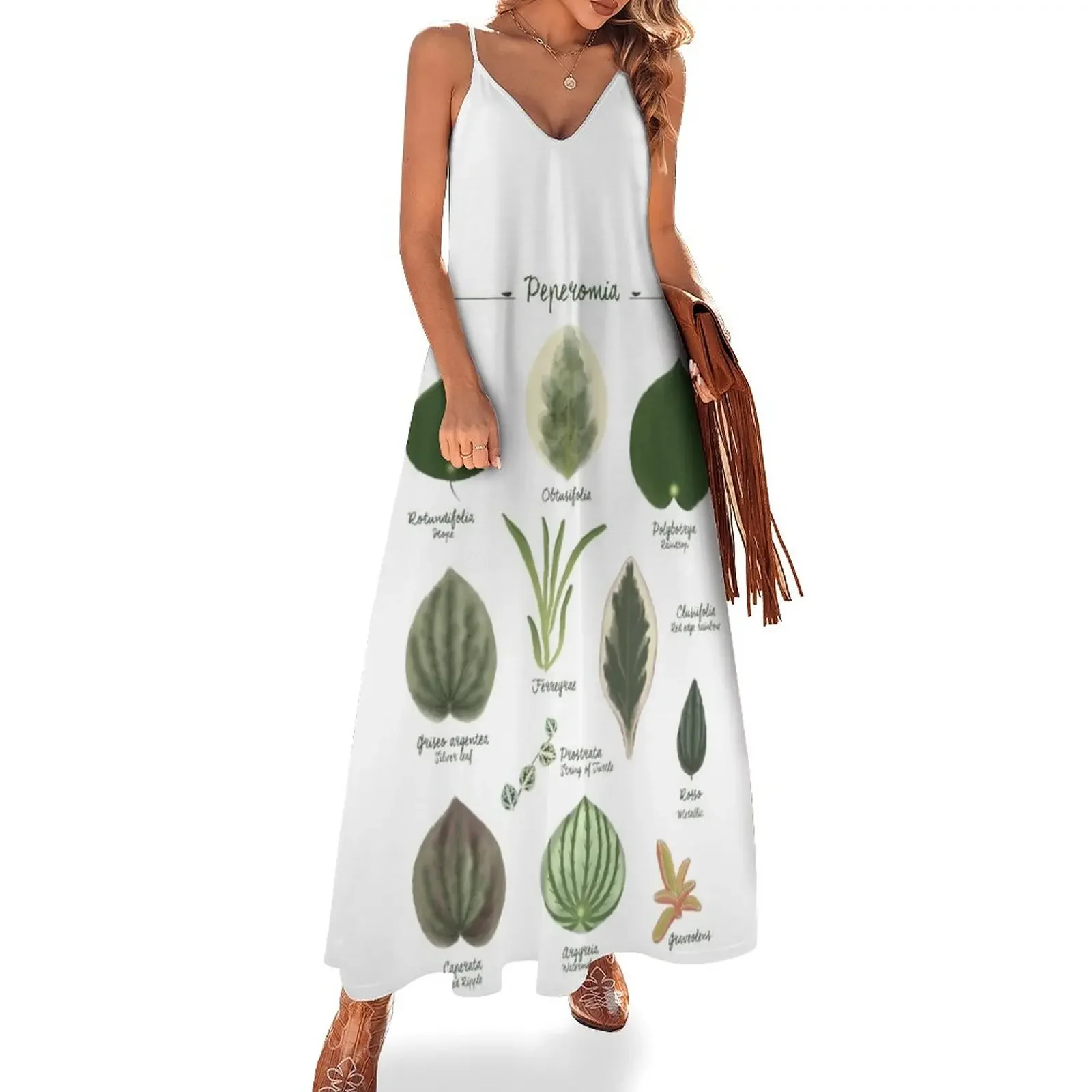 

Peperomia plants species collection botanical illustration Sleeveless Dress Woman clothes wedding guest dress 2025