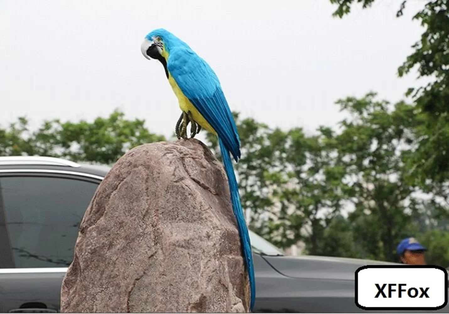 Imagem -02 - Big Real Life Parrot Modelo Simulação Azul e Amarelo Pássaro Espuma e Pena Presente Cerca de 60cm Xf2520 Novo