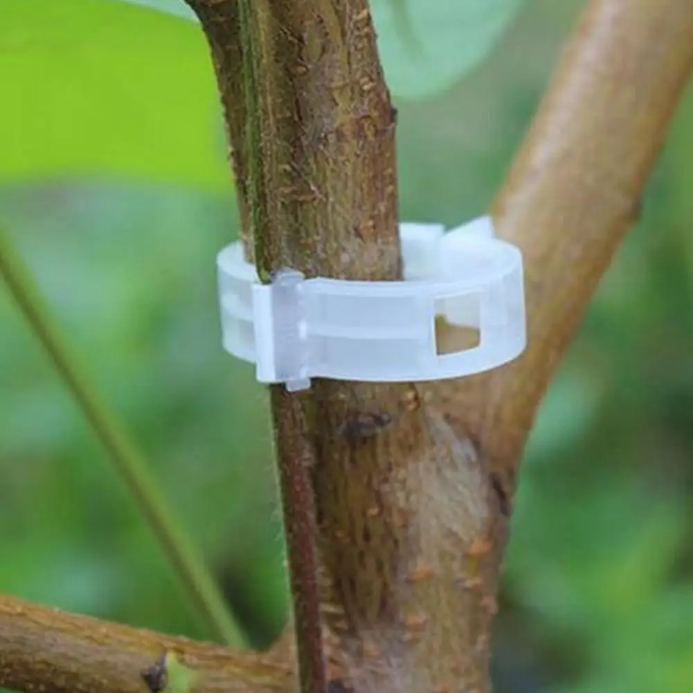 Clips en Plastique pour Plantes, Supports de Protection, Greffe de FiosphPlante, Légumes, Tomate, Outils de Connexion, Fournitures de Jardin Réutilisables, 100 Pièces