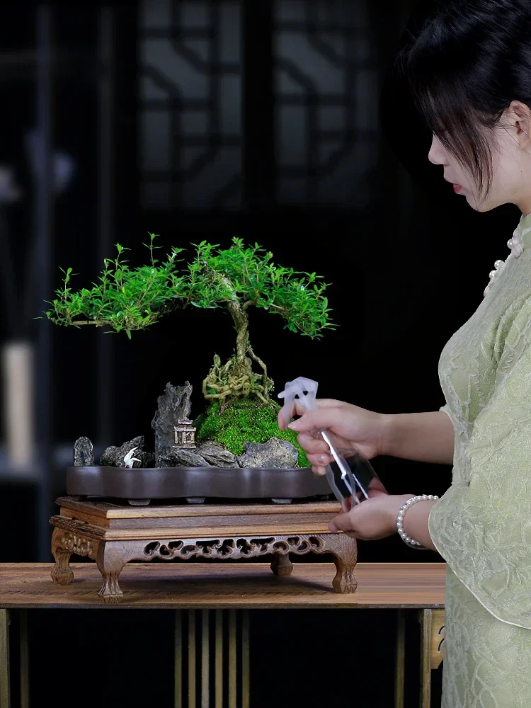 

Small leaf sparrow plum stump shape rockery bonsai plant old stump office living room green plant desktop potted ornament