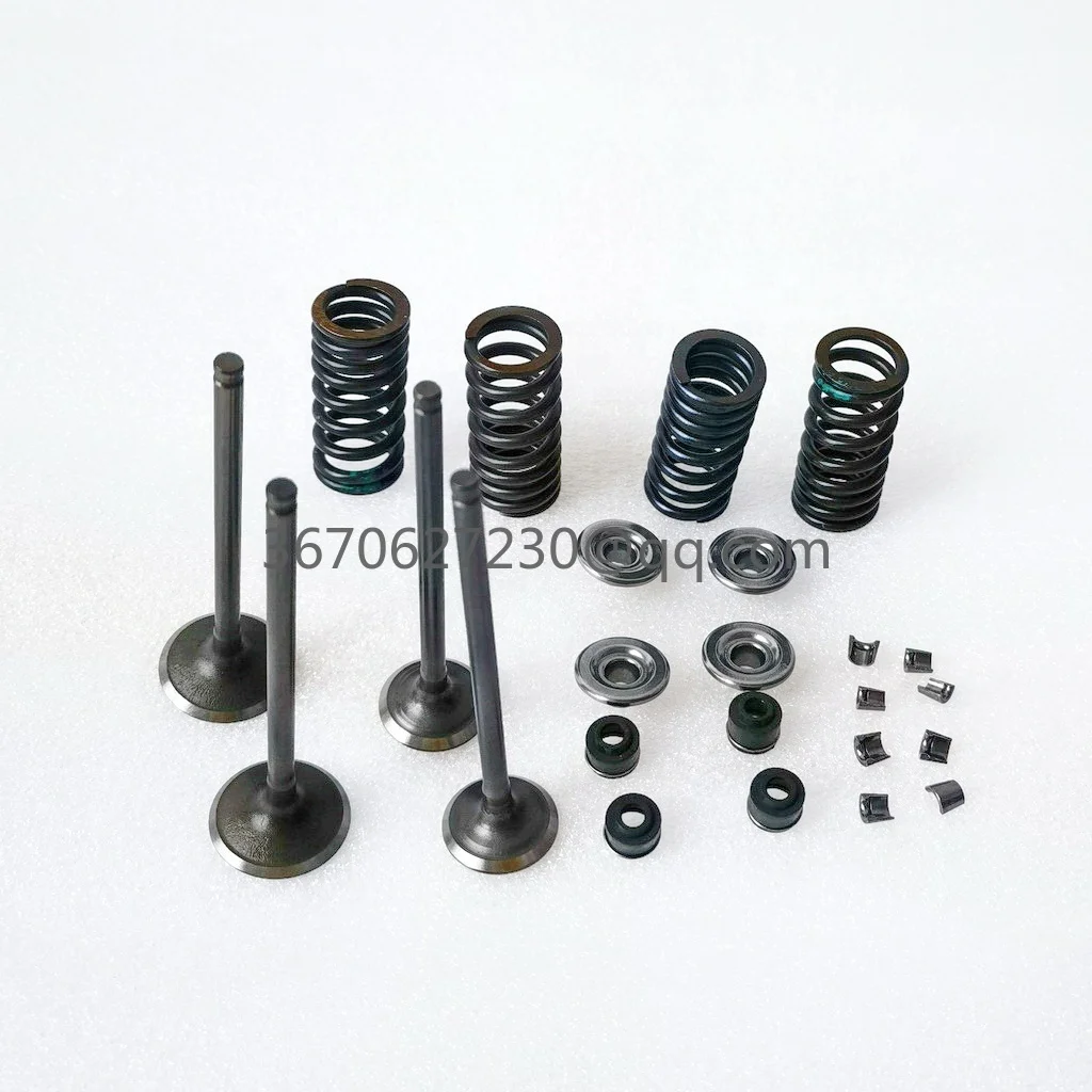 valves and spring kit for Daytona 190 or 212 4 valves engines