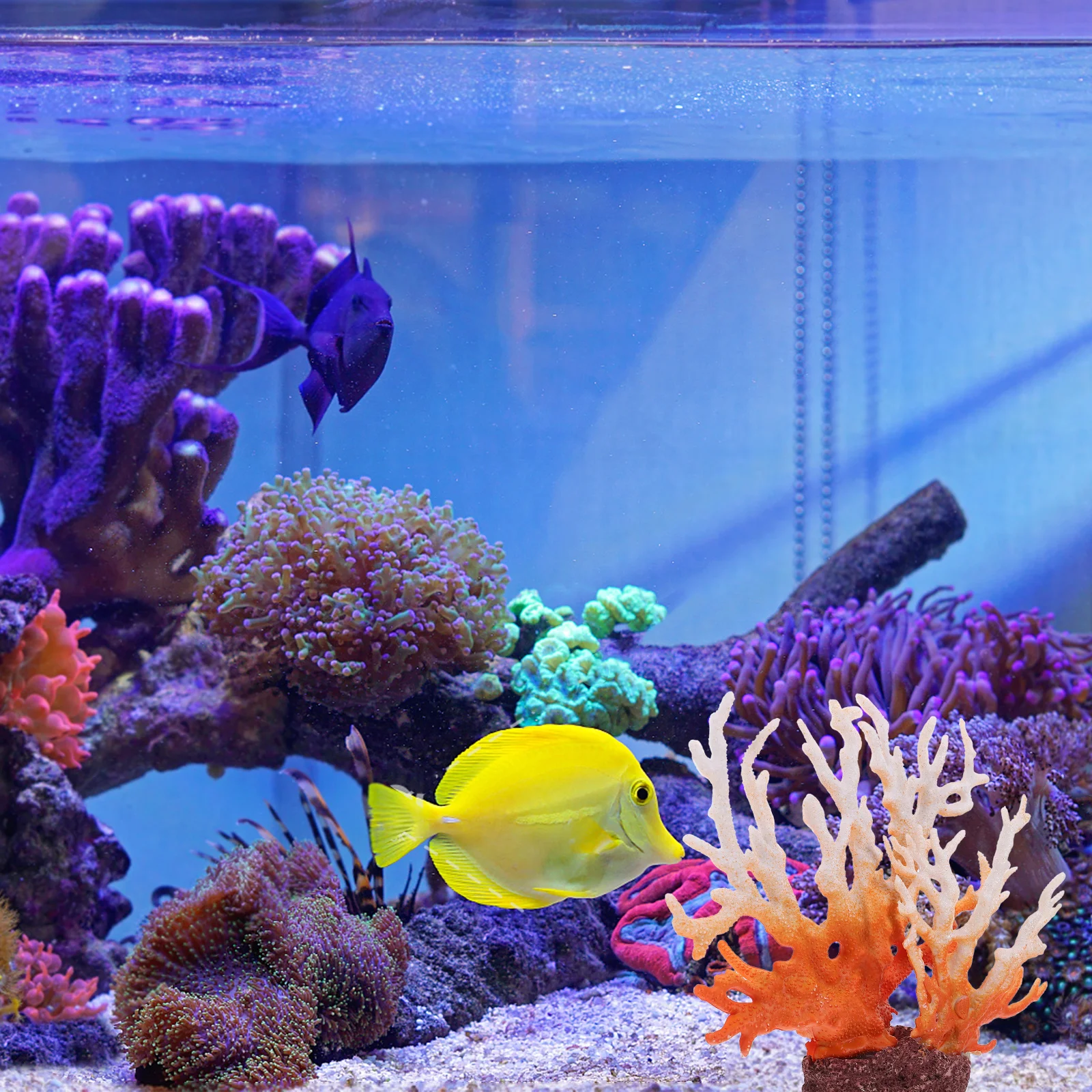 

Durable Coral Reef Decor Resin Aquarium Fish Tank Accessories No Harm to Fish Coral Reef Decor Aquatic Turtle Tank Accessories