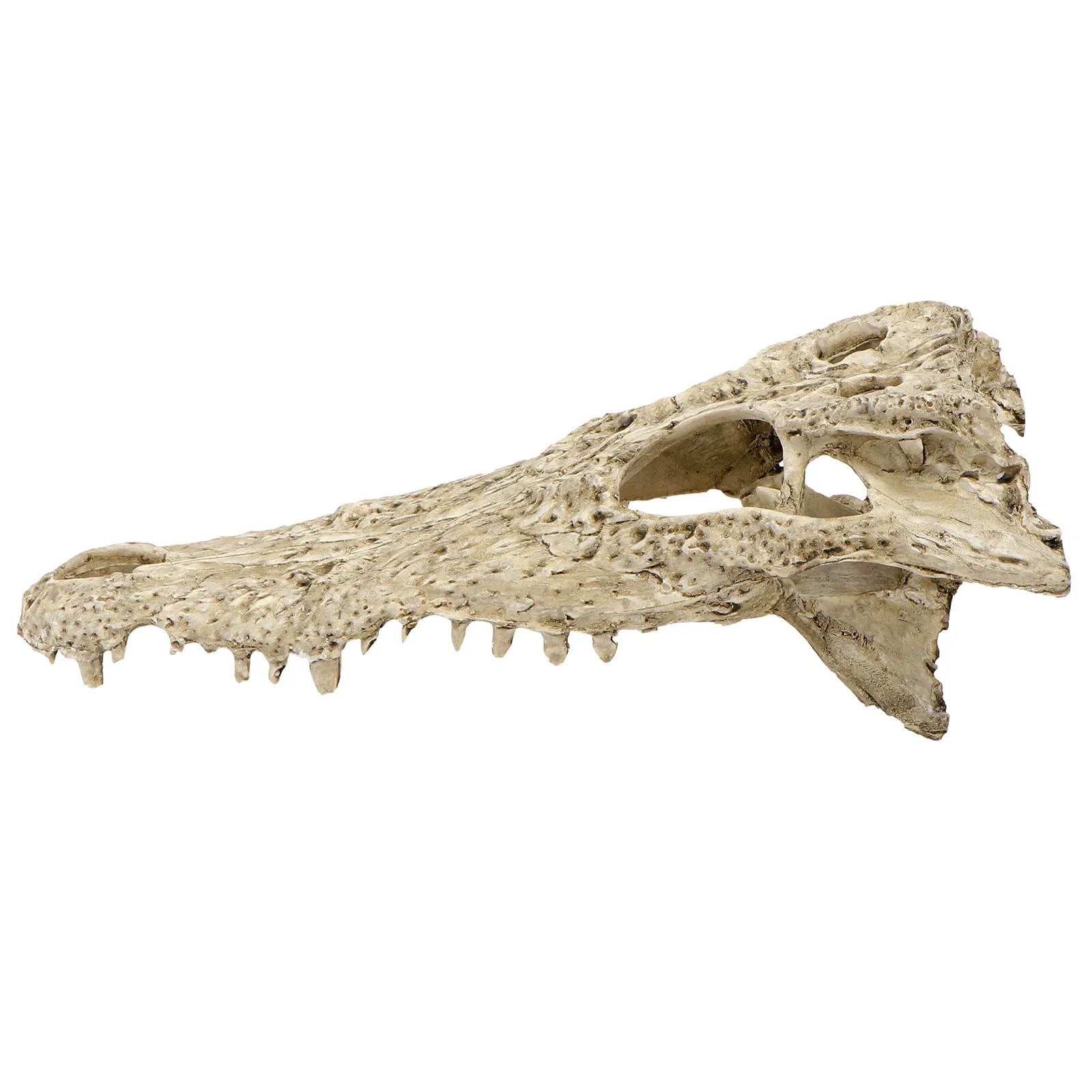 1Pcs Premium Resin Crocodile Skull Ornament Lifelike Simulation Skull for Fish Tank Micro Landscape DIY Desktop