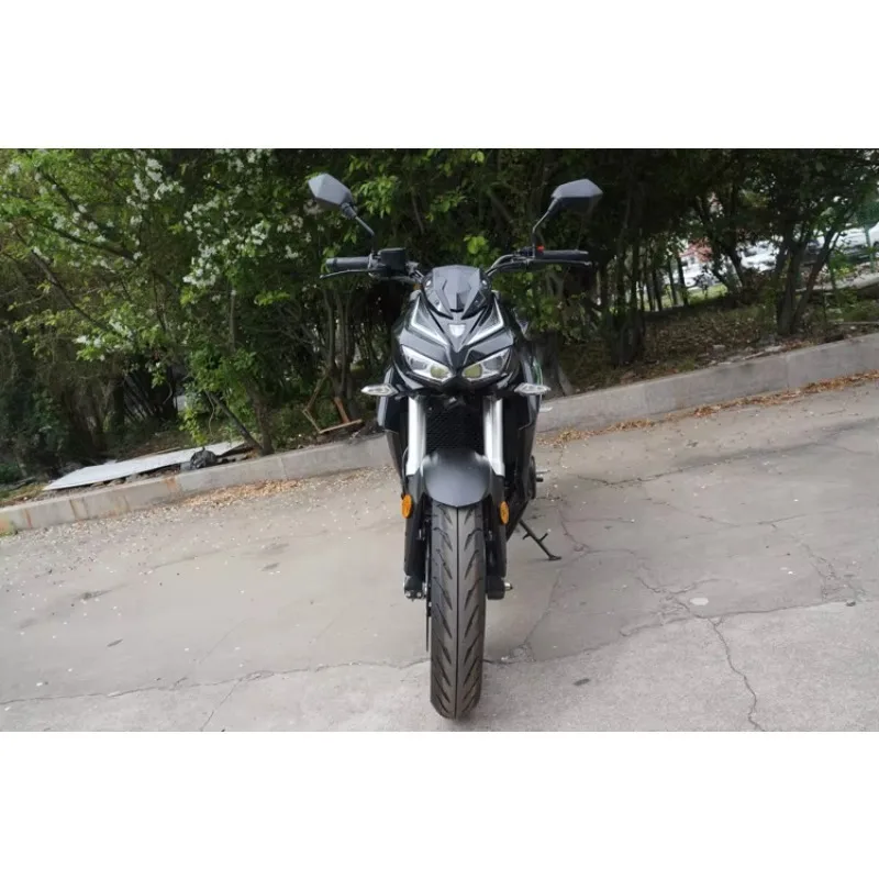 2025 سباق الدراجات النارية الكهربائية على الطرق الوعرة دراجة نارية 3000 واط دراجات نارية كهربائية للبالغين #4