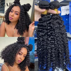 Afro Kinky Curly Human Hair Bundles With Closure Virgin Hair 2 Bundles Hair Extensions Brazilian Hair Weave  Cara 3B 3C Weft