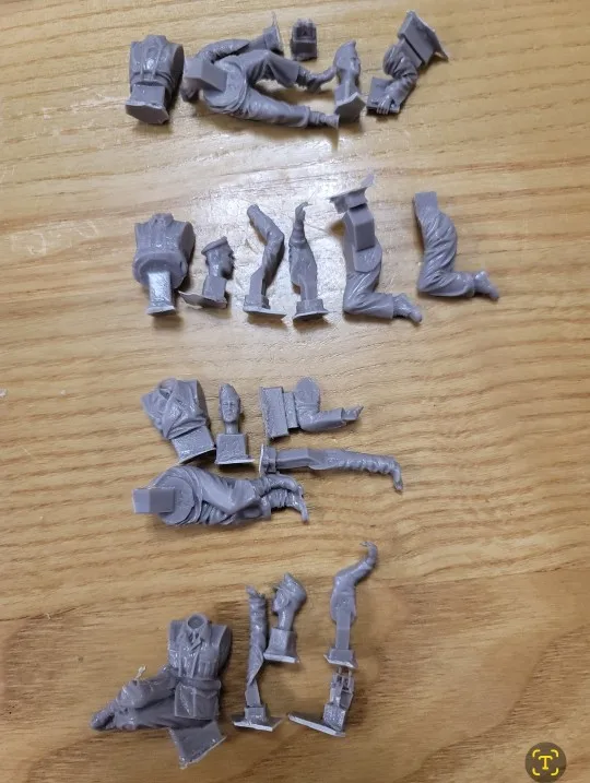 Buyer photo of this resin kit