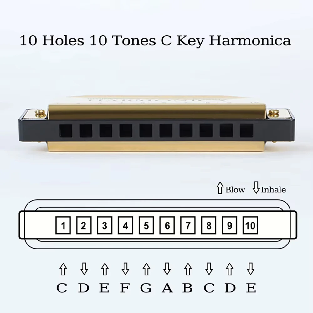 Thumbnail 4 - #27 Best Rated Harmonicas to Buy in 2026