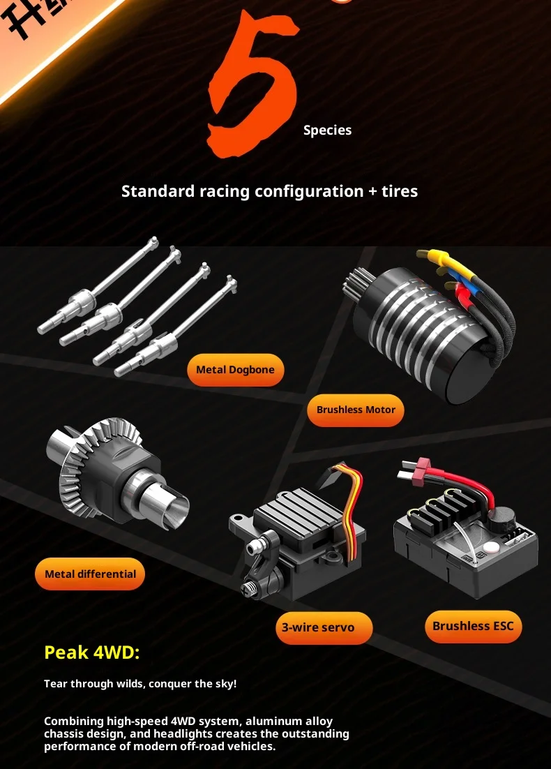 Speedy Yu-18103pro - Brushless Version - Details -1_03.jpg