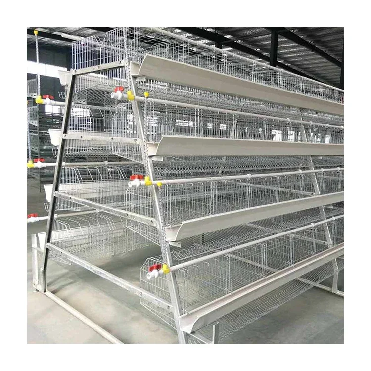 

Wholesale Automatic Battery Poultry Cage Type A Layer Chicken Broiler Breeding Equipment