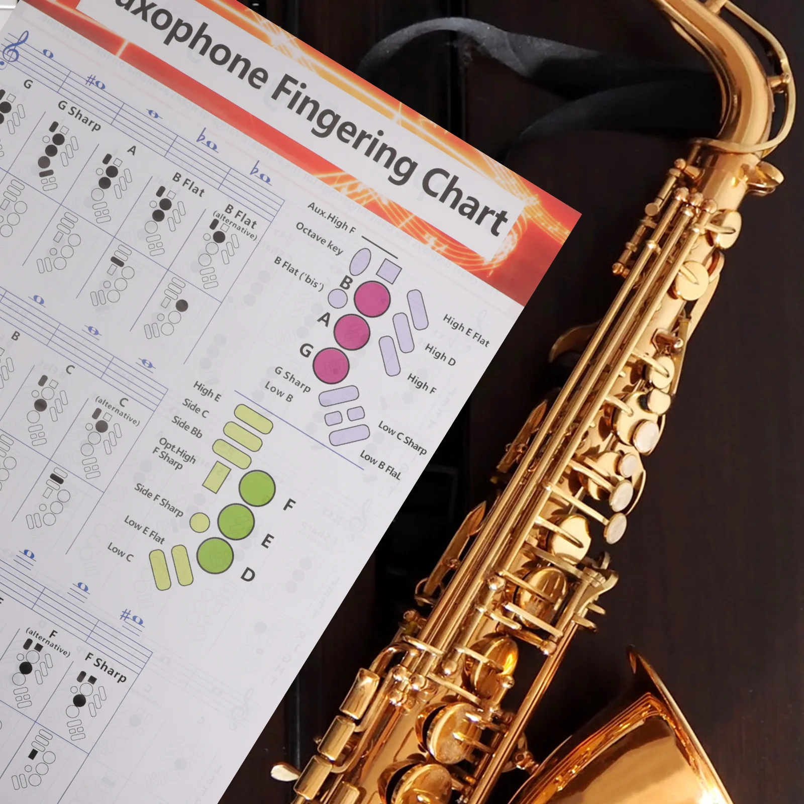 

Saxophone Finger Chart Poster Beginner Chord Note Learning Guide Progression Music Chart Coated Paper Durable Practice Musical