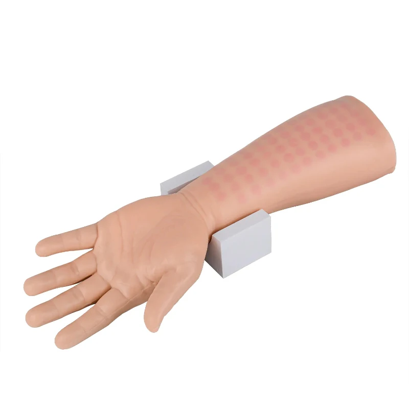 

Intradermal Injection Practice Arm, Intradermal Injection Training Simulator for Nursing Students, Medical Education