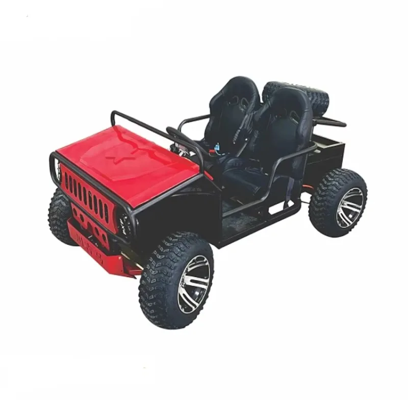 Hot Sale Electric Off Road Racing Karting Car 2seats Go Karts For Kids And Adults