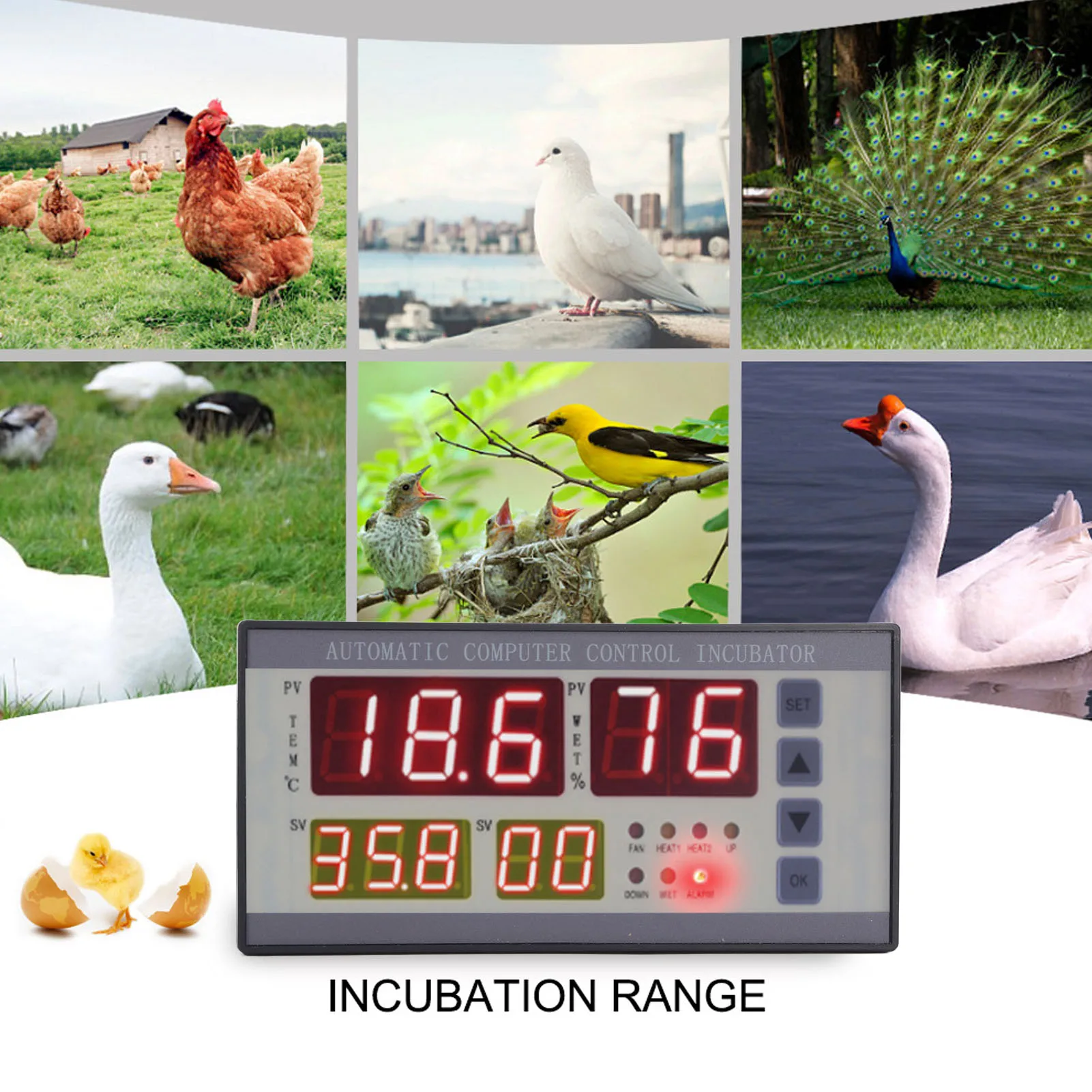 

Контроллер влажности инкубатора Контроллер инкубатора Простая в эксплуатации функция сигнализации Защита от помех AC160V‐240V ABS для школы