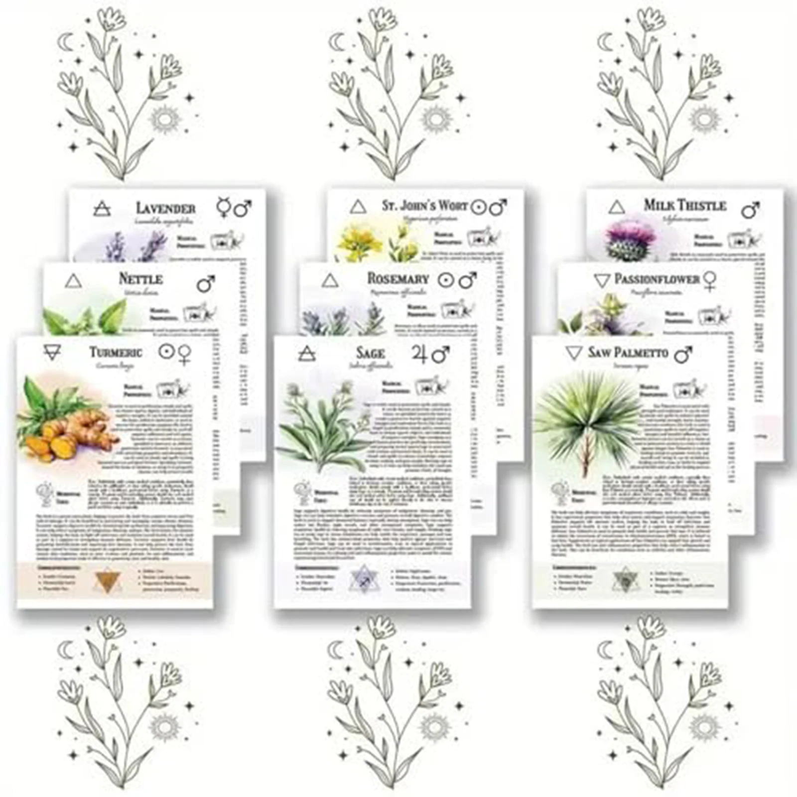 The Enchanted Herbalist'S Grimoire: دليل ساحرة لزراعة سحرية وعلاجات عشبية وصياغة رمزك الشخصي في علم النبات #5