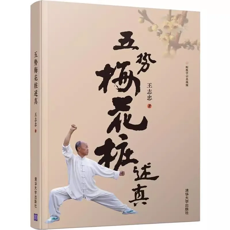 

Wu Shi Meihuaquan от Wang Zhizhong китайская книга боевого искусства кунг-фу