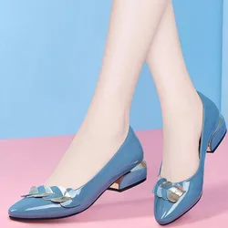 Women's Pointed Toe Heeled Shoes Summer New Shallow Chunky Heel Slip on Dress Shoes for Women Office Ladies Pumps Women's Shoes