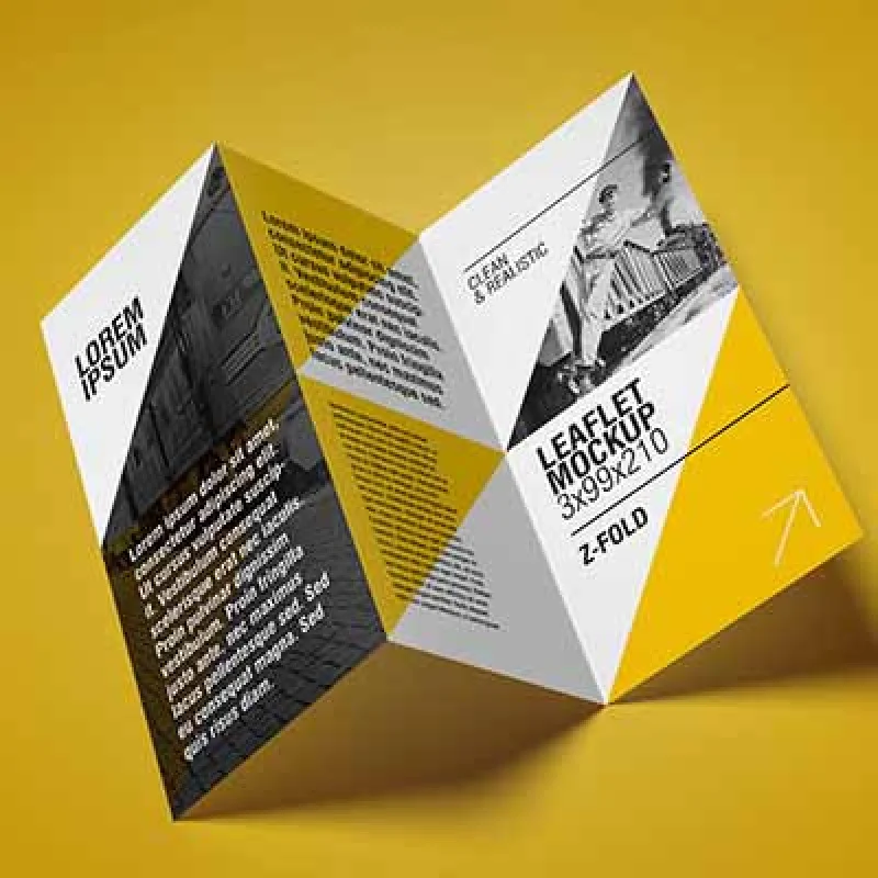 

Пользовательские 500 шт. в партии флаерная печать формата А4. Нестандартный дизайн, дешевая печать брошюр, печать на листьях, услуги по печати флаеров.