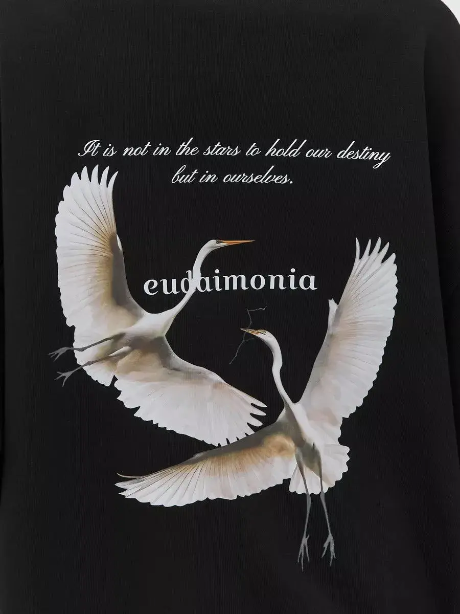 Bluza z kapturem z grafiką latającego białego ptaka, marka hip-hopowa, modna marka, nadrukowana, męska, damska, oversize, bluzy, kurtki, hip-hop Y2K, unisex