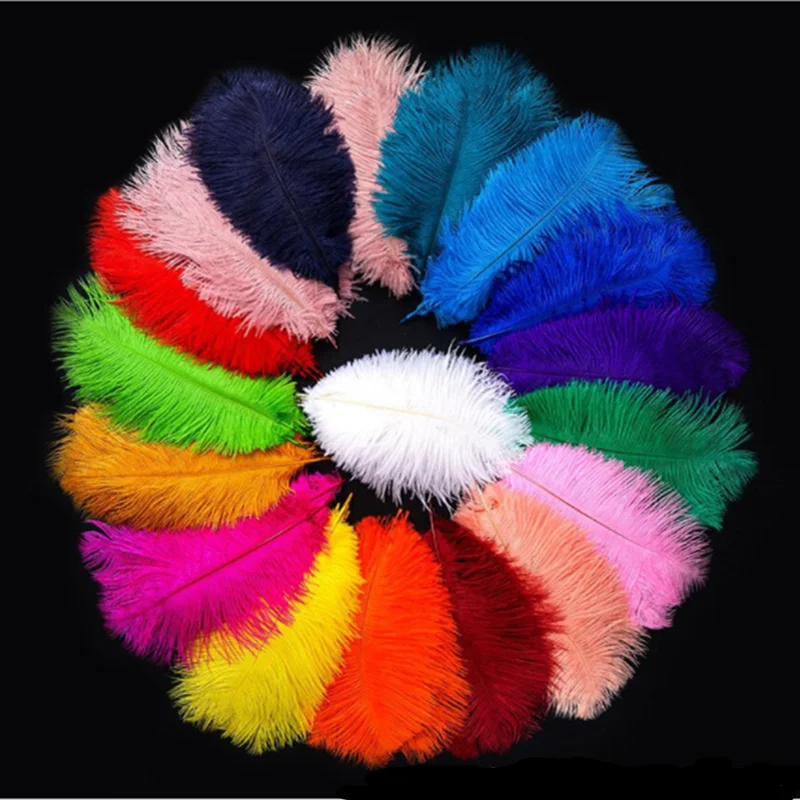 10Pcs Ostrich Feathers For Jewelry Making Plume Diy Dream Catcher Decorations Vase Needlework Craft Supplies Wedding Accessories