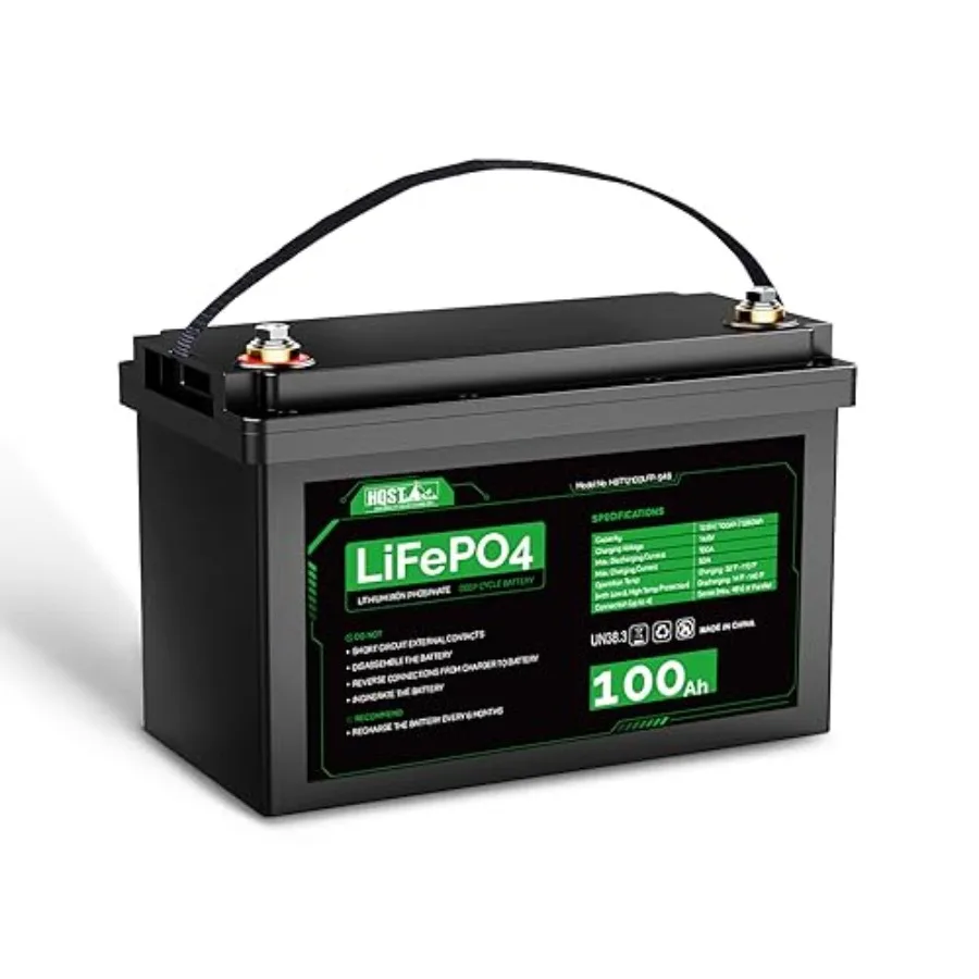 

12V 200Ah LiFePO4 Lithium Battery Group 31 2 Pack of 100Ah Deep Cycle Batteries with Built in BMS Low-Temp Protection 2560Wh 10