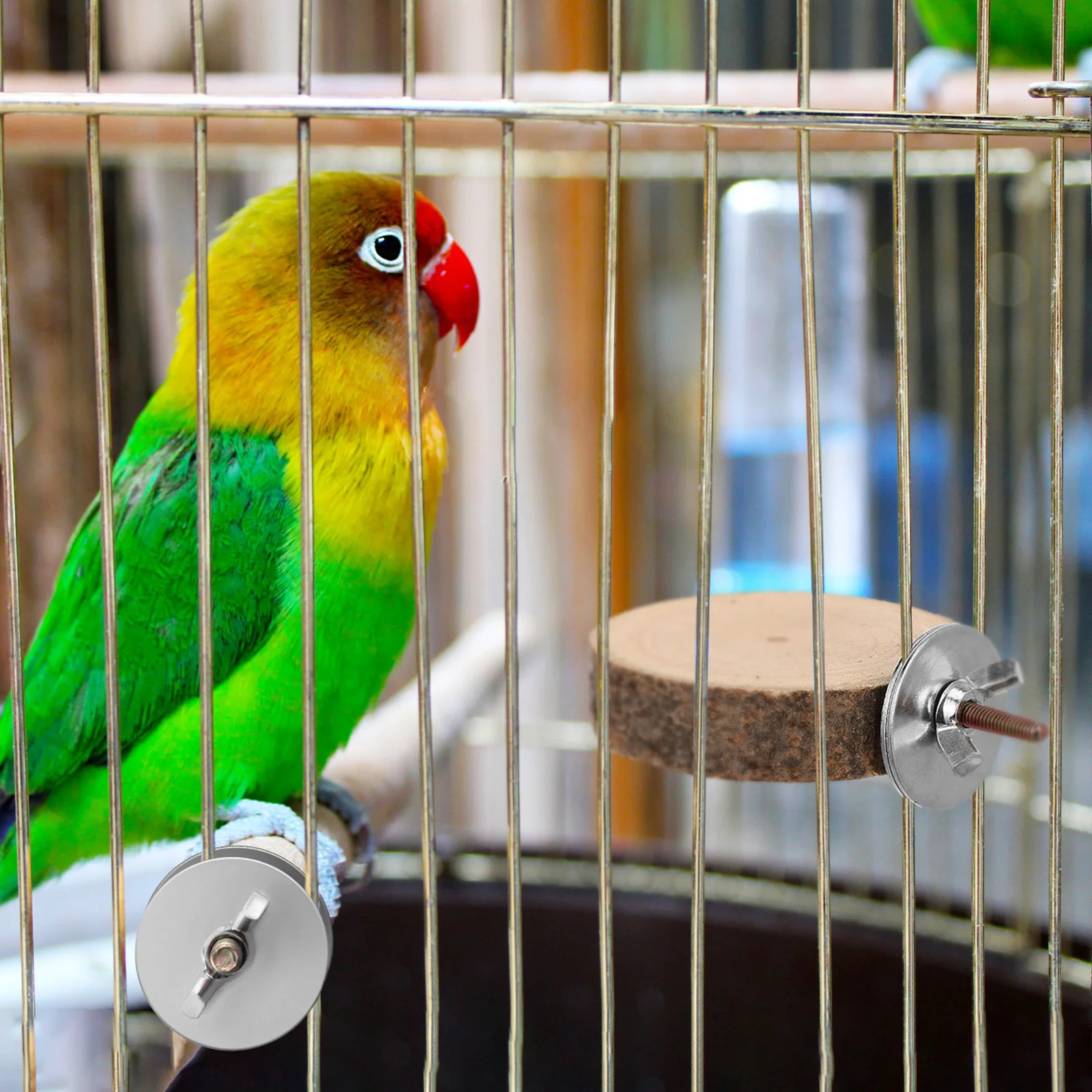 

12Sets Bird Perch Accessories Mounting Screws for Cage Platforms Corrosion Resistant Fixing Hardware Kit Cage Gasket