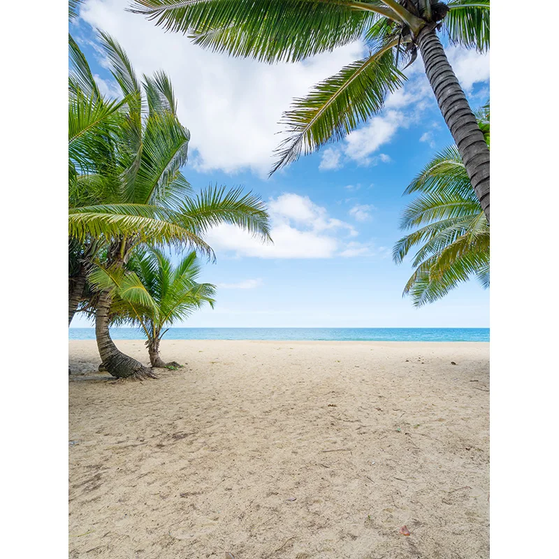 

Tropical Sea Summer Vacations Island Landscape Photography Backdrops Coconut Palm Tree Sky Cloud Sandy Beach Background SD-09