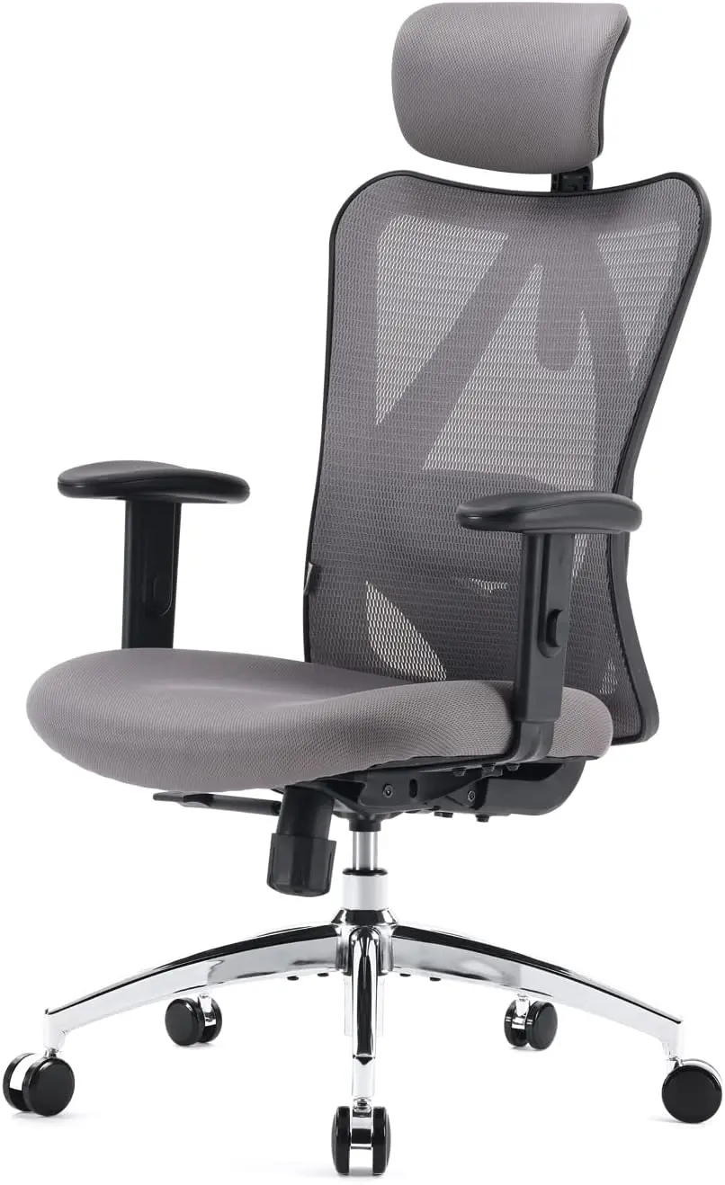 

M18 Ergonomic Office Chair for Big and Tall People with 2D Armrest Lumbar Support and PU Wheels Swivel Tilt Function Grey