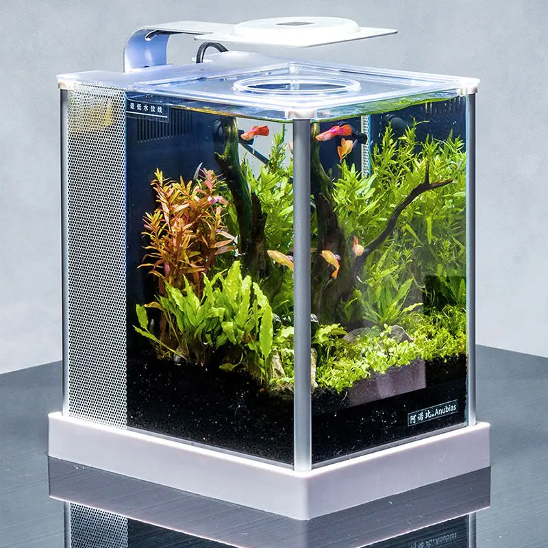 Relaxlines Wholesale Custom Glass Small Aquarium Fish Tank Modern Home Office Bar Counter Decorated Fish Tank Aquarium