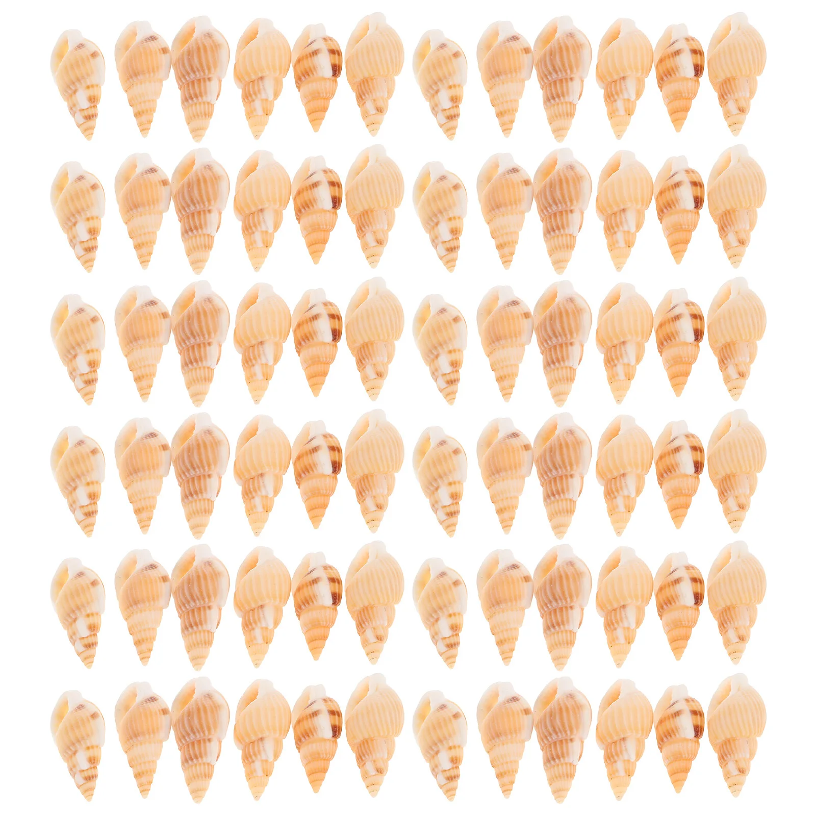 

100pcs Conch Shell Pendants Natural Sea Shell Charms For Diy Jewelry Making Necklace Bracelet Earring Crafts Ocean Decor Coastal