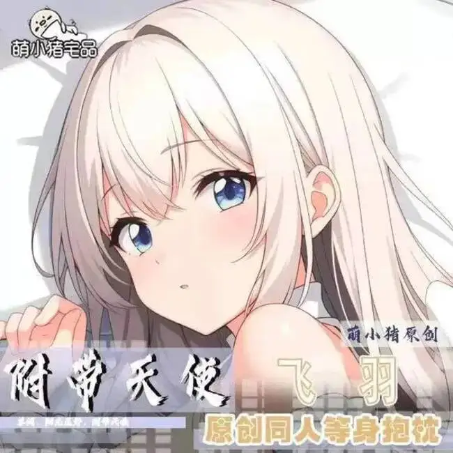 Towa Dakimakura Sex… - image