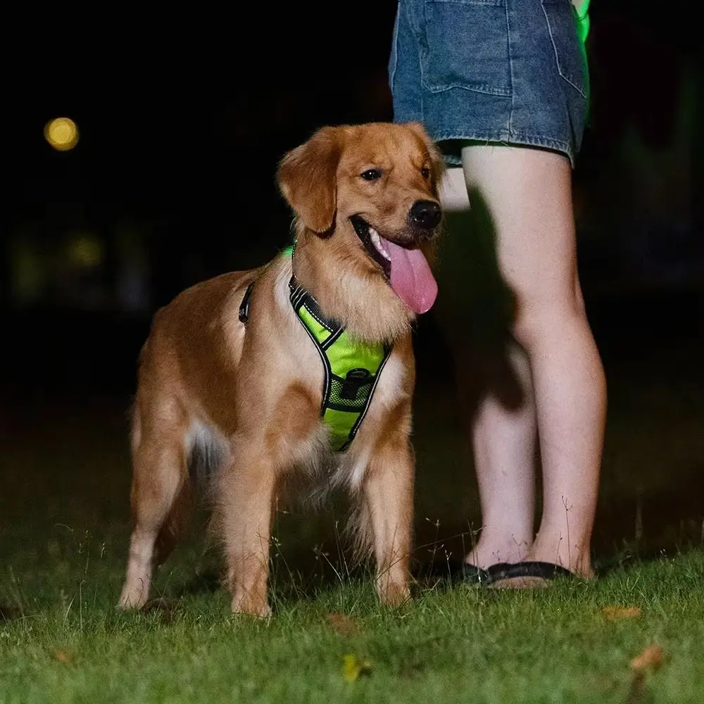 Light Up LED Dog Harness Adjustable Rechargeable Luminous Pet Chest Strap Padded Collar Flashing Dog Glow Vest Cats Pet