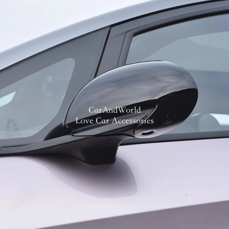 ABS Carbon Fiber Door Rear View Mirror Frame Cover Rearview Trims Car Moulding Accessories For BYD Dolphin 2021-2025
