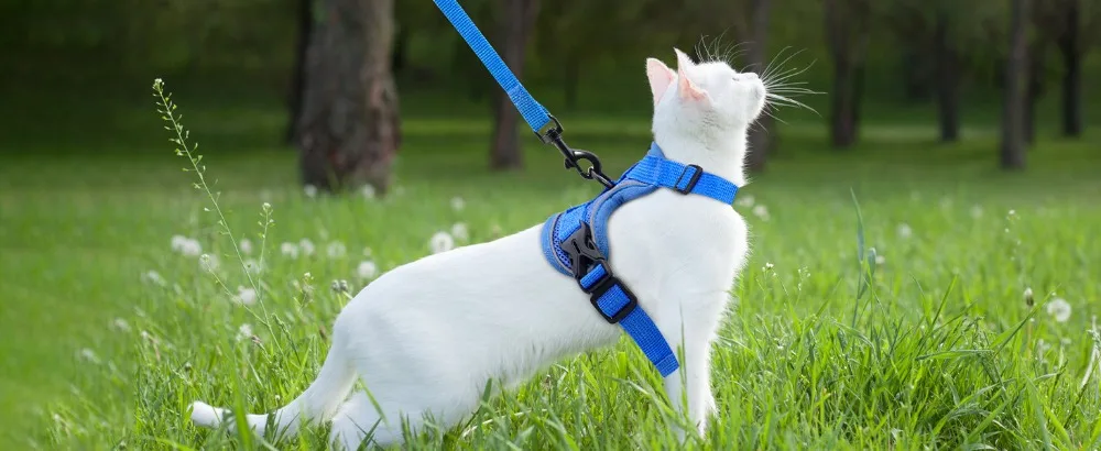 Reflective Cat Harness And Leash Set Adjustable Vest For Cats_voghion.com