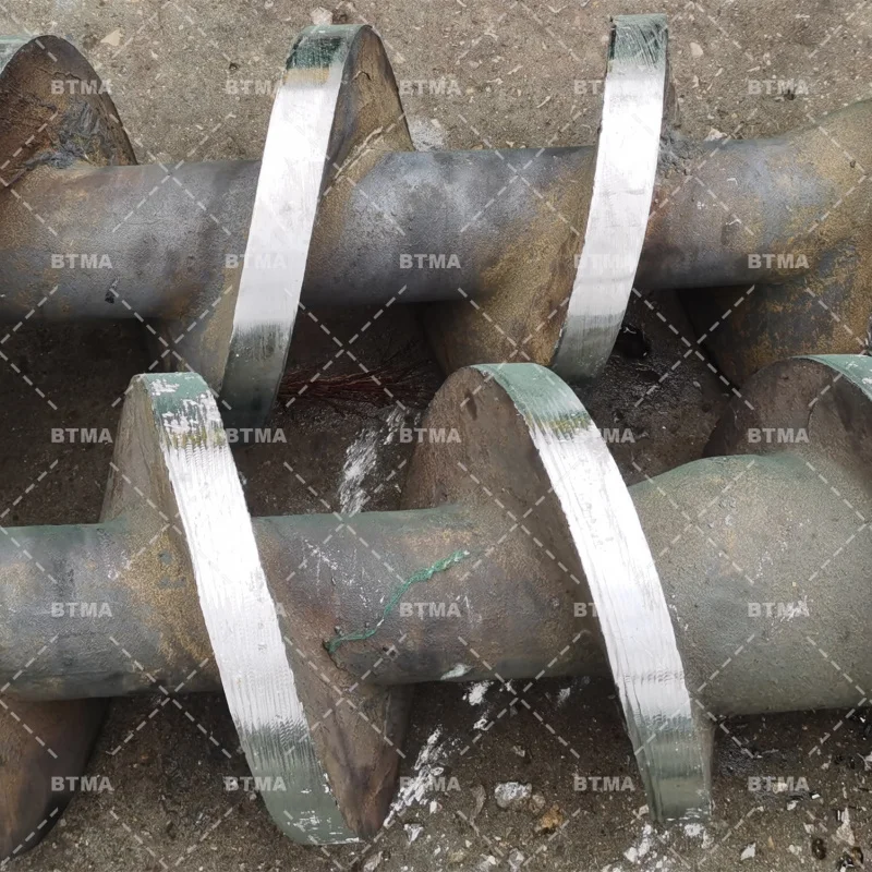 1TPH Palm Making oliepersmachine