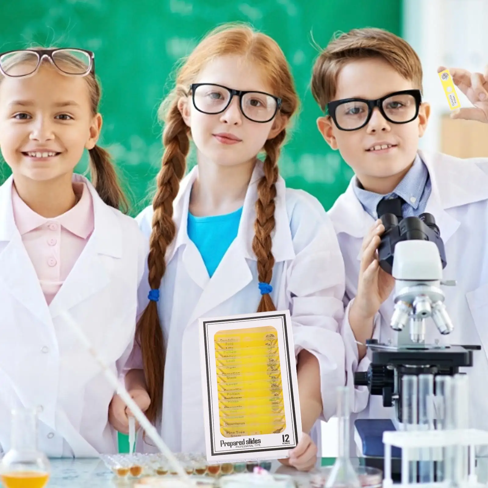 48 Pcs Indoor Biological Specimen Slice Kids Microscope Insects Sample Slide Slideshow Prepared Child - Image 3