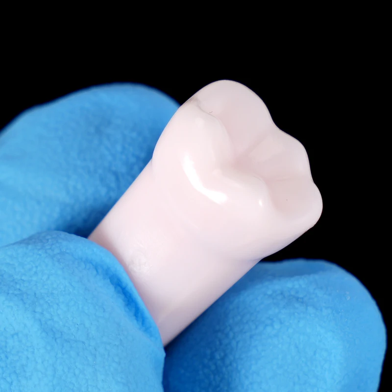 50Pcs Screw-in Removable Teeth for Standard Teeth Model Student Practice Training